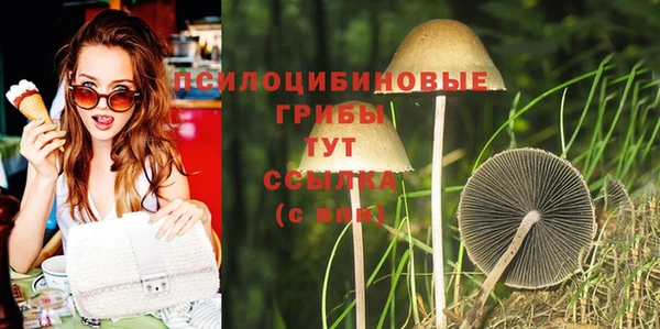 а пвп мука Корсаков