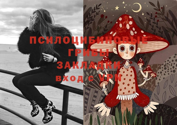 дурь Коряжма