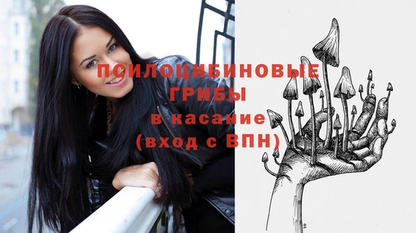 дурь Костерёво