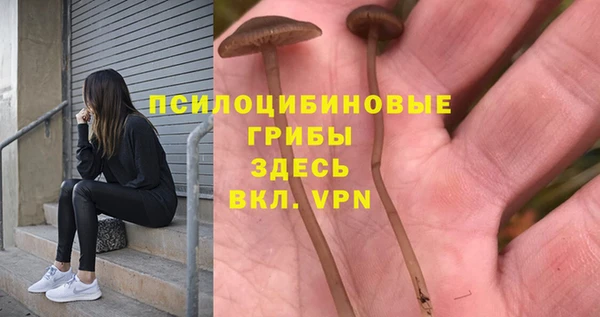 дурь Костерёво